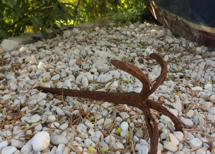 Ro - Ela - One Bedroom With Balcony And Sea View - A1 Appartement Brsečine